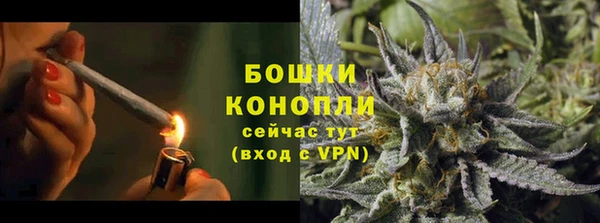 ГАЛЛЮЦИНОГЕННЫЕ ГРИБЫ Михайловка