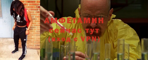 прущие грибы Ивангород