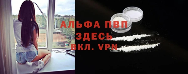 прущие грибы Ивангород