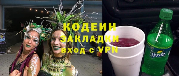 прущие грибы Ивангород