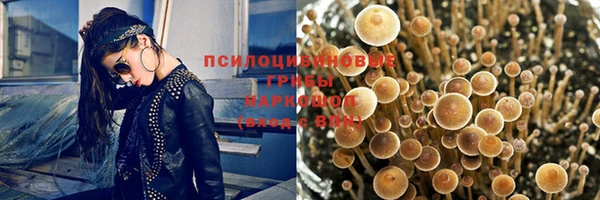 ГАЛЛЮЦИНОГЕННЫЕ ГРИБЫ Михайловка