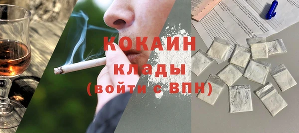 прущие грибы Ивангород