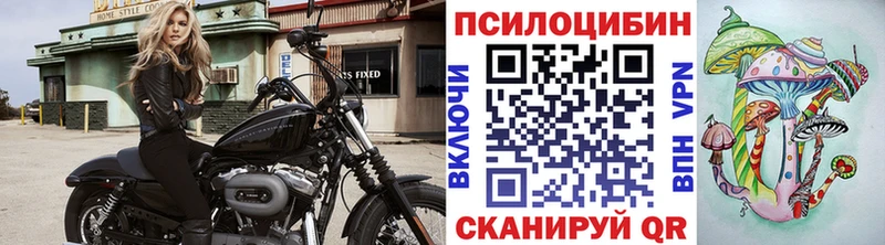 Галлюциногенные грибы GOLDEN TEACHER Любим